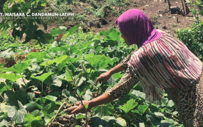 From Garden Vegetable to Food on the Table