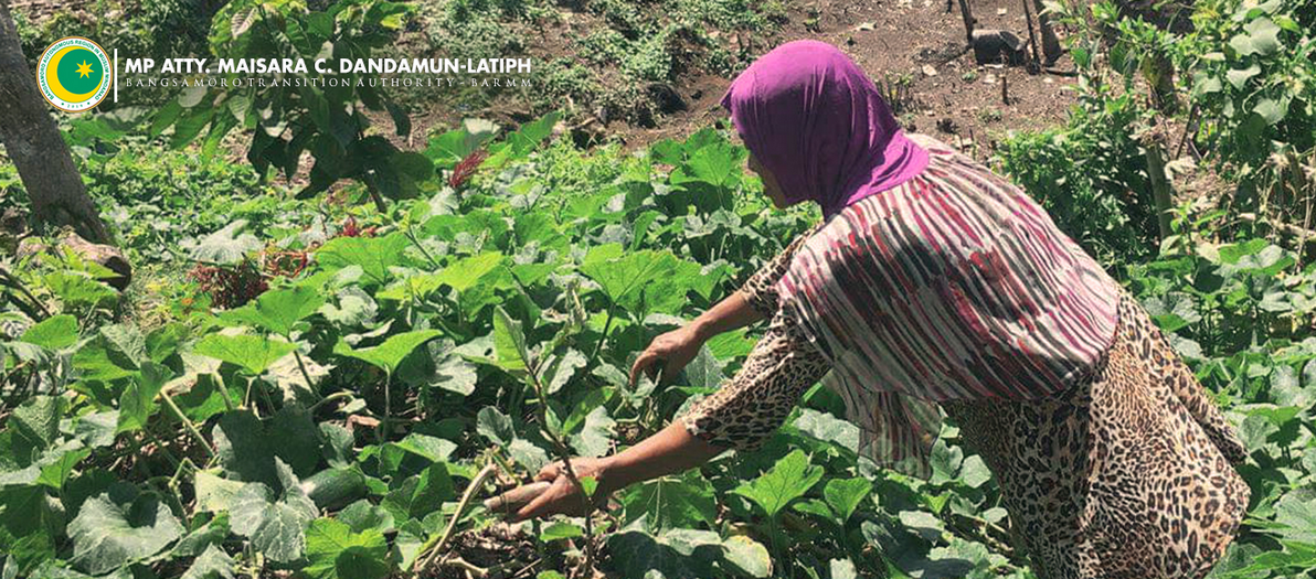 Bangsamoro From Garden Vegetable to Food on the Table