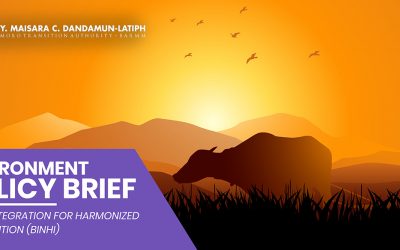 READ | POLICY BRIEF No. 13 Environment Policy Brief