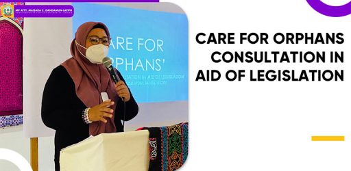 CARE FOR ORPHANS CONSULTATION IN AID OF LEGISLATION