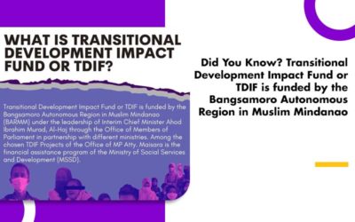 What is Transitional Development Impact Fund or TDIF