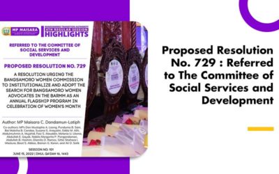 Proposed Resolution No. 729 : Referred to The Committee of Social Services and Development