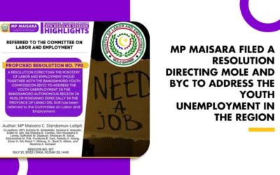 MP MAISARA FILED A RESOLUTION DIRECTING MOLE AND BYC TO ADDRESS THE YOUTH UNEMPLOYMENT IN THE REGION